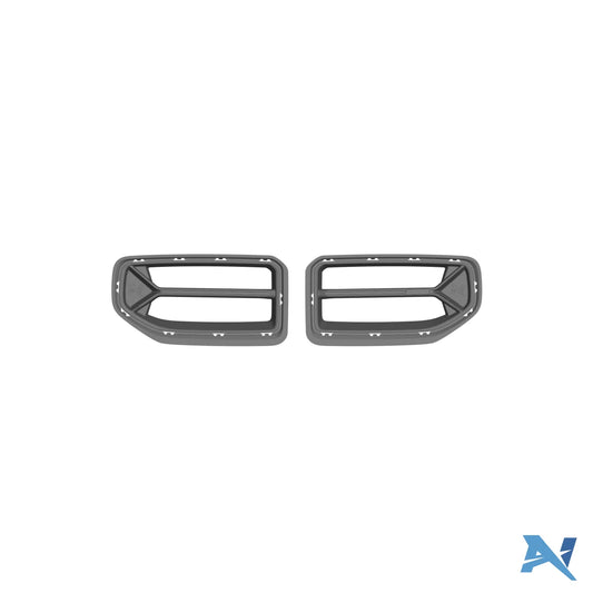 ALPHA-N carbon grill "kidney" V2 suitable for M2 G87